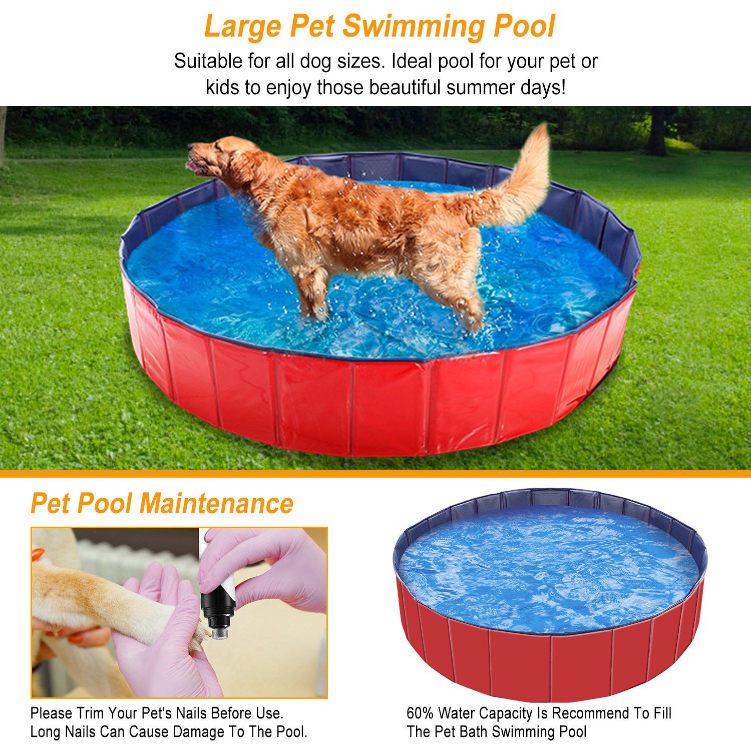 Foldable Dog Swimming Pool — Cooling Bath & Splash Tub for Pets