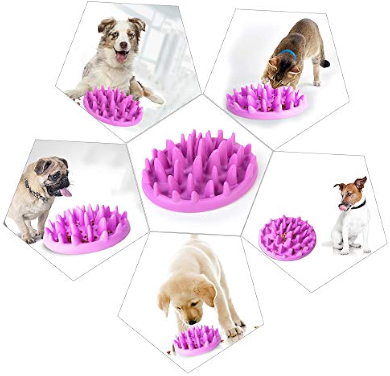 Slow Feeder Bowl for Cats & Dogs — Jungle Puzzle Maze