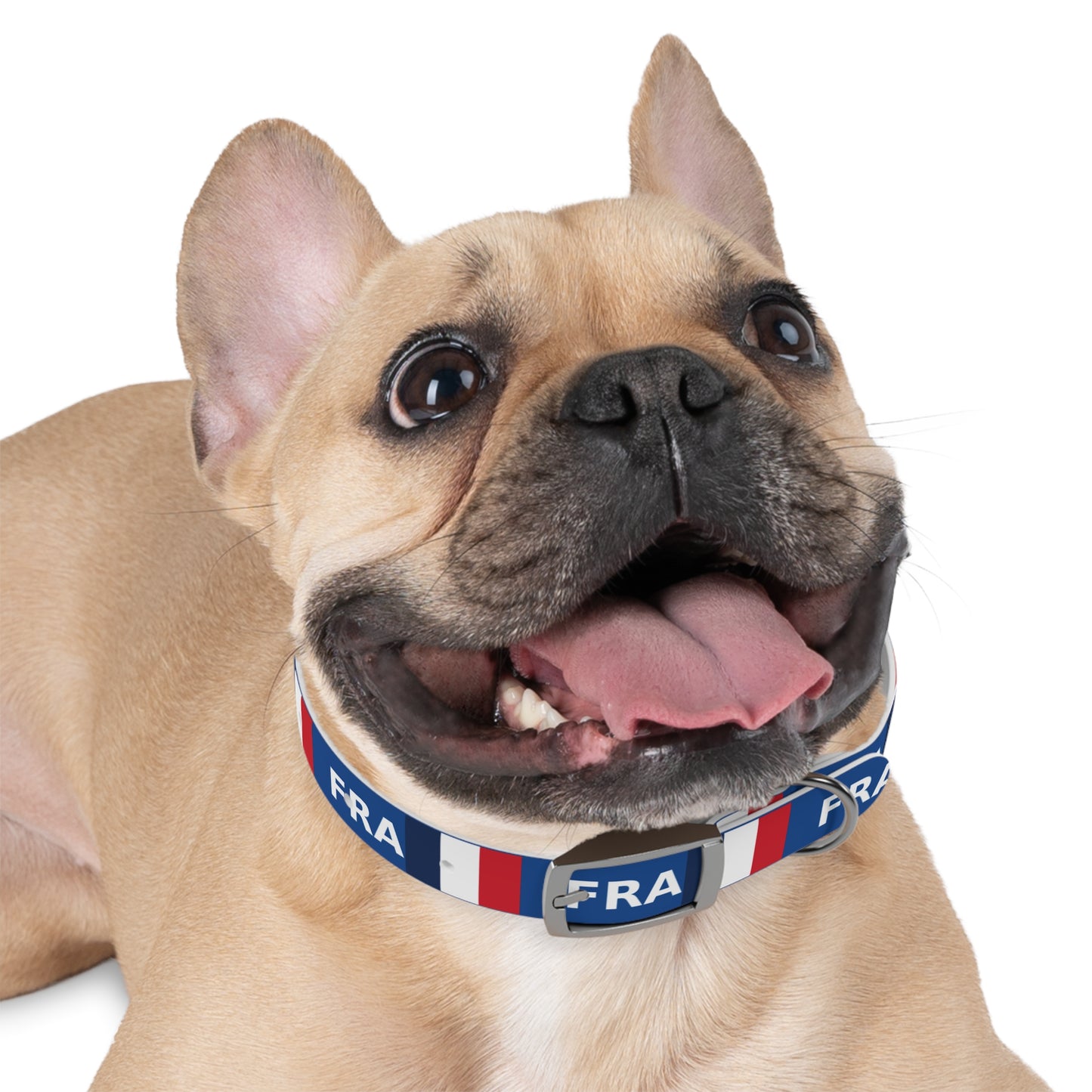World Cup Dog Collar - France