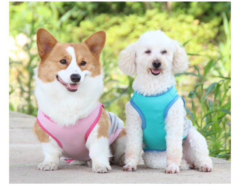 Cooling Dog Vest with Reflective Strip — Summer Cool Coat