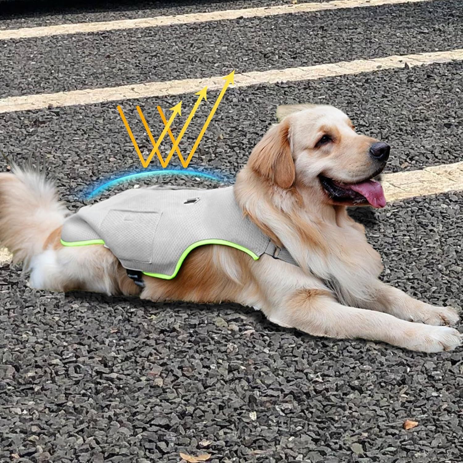 Dog Cooling Vest with Ice Packs & Leash Ring for Hot Weather - photo 4