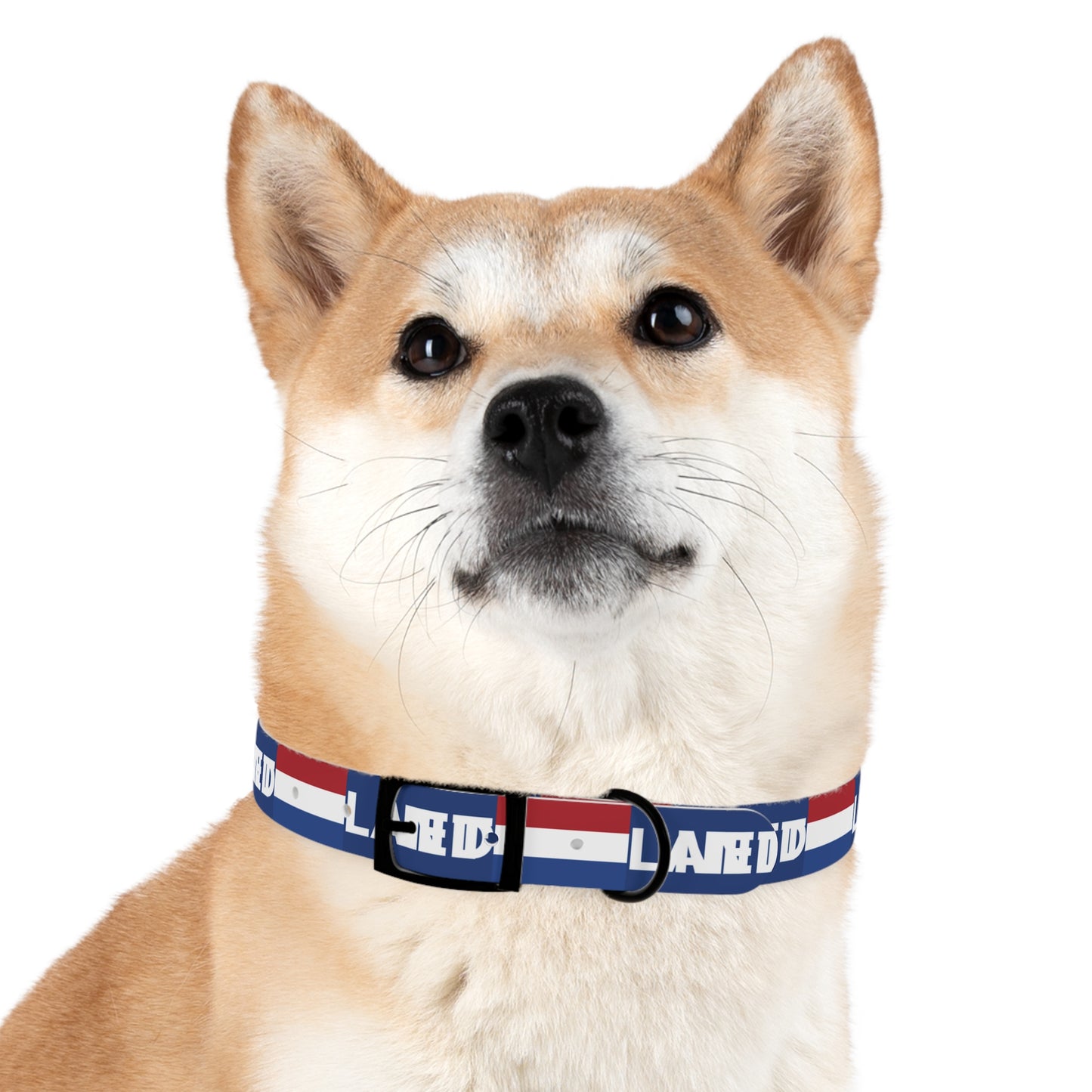 World Cup Dog Collar - Netherlands