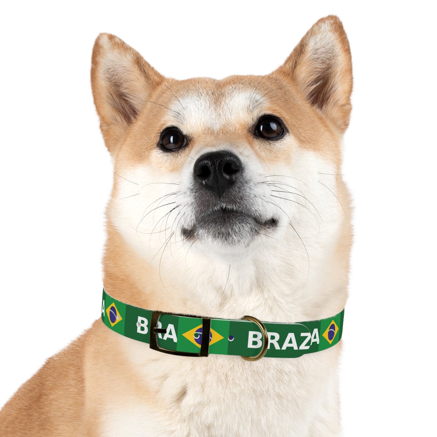 World Cup Dog Collar - Brazil