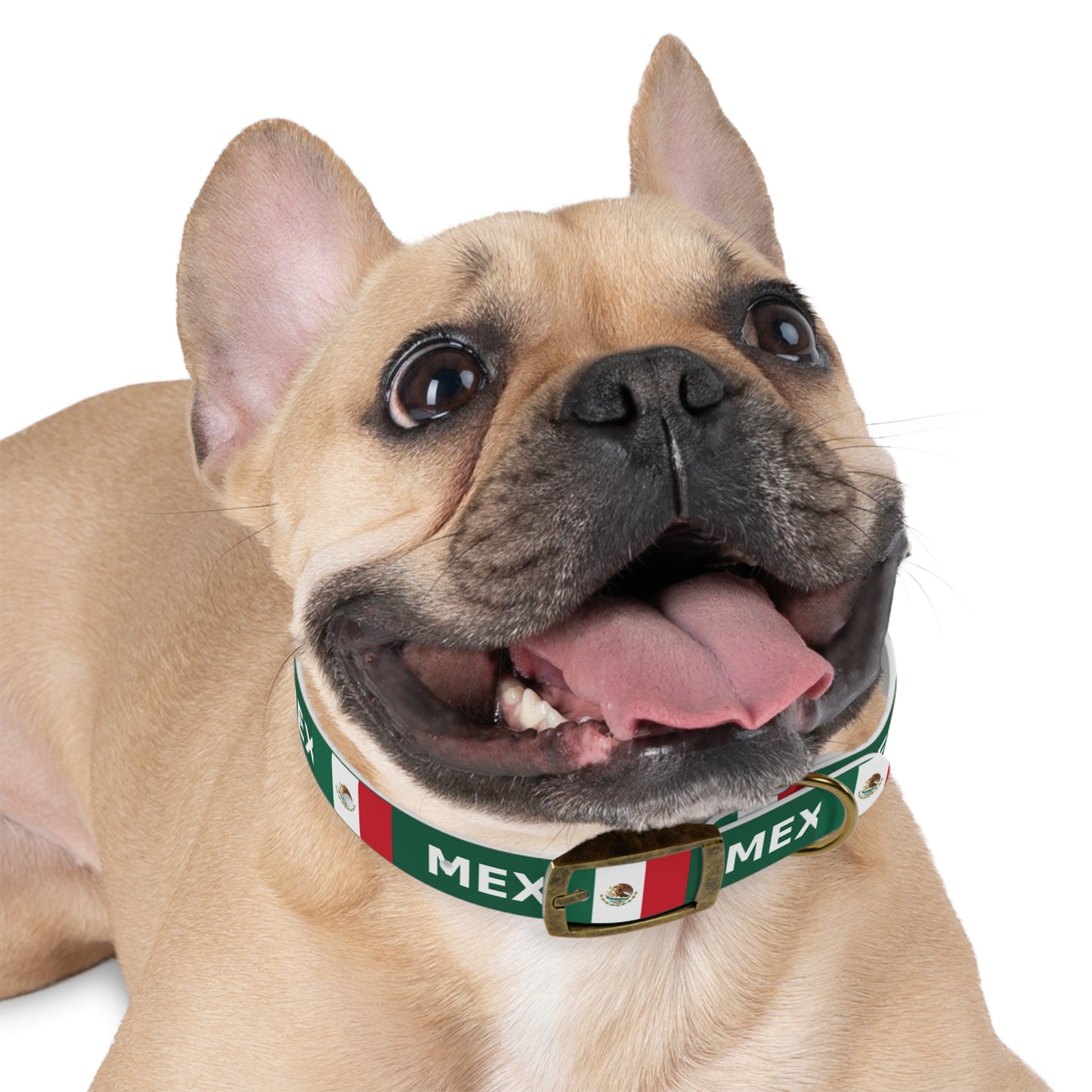 World Cup Dog Collar - Mexico