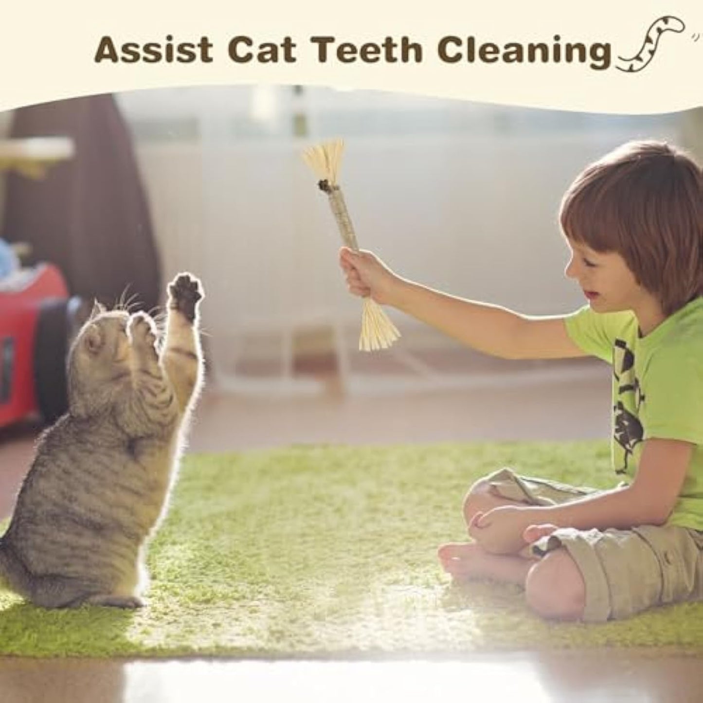 Silvervine Sticks for Cats — 3-Pack Natural Dental Chew