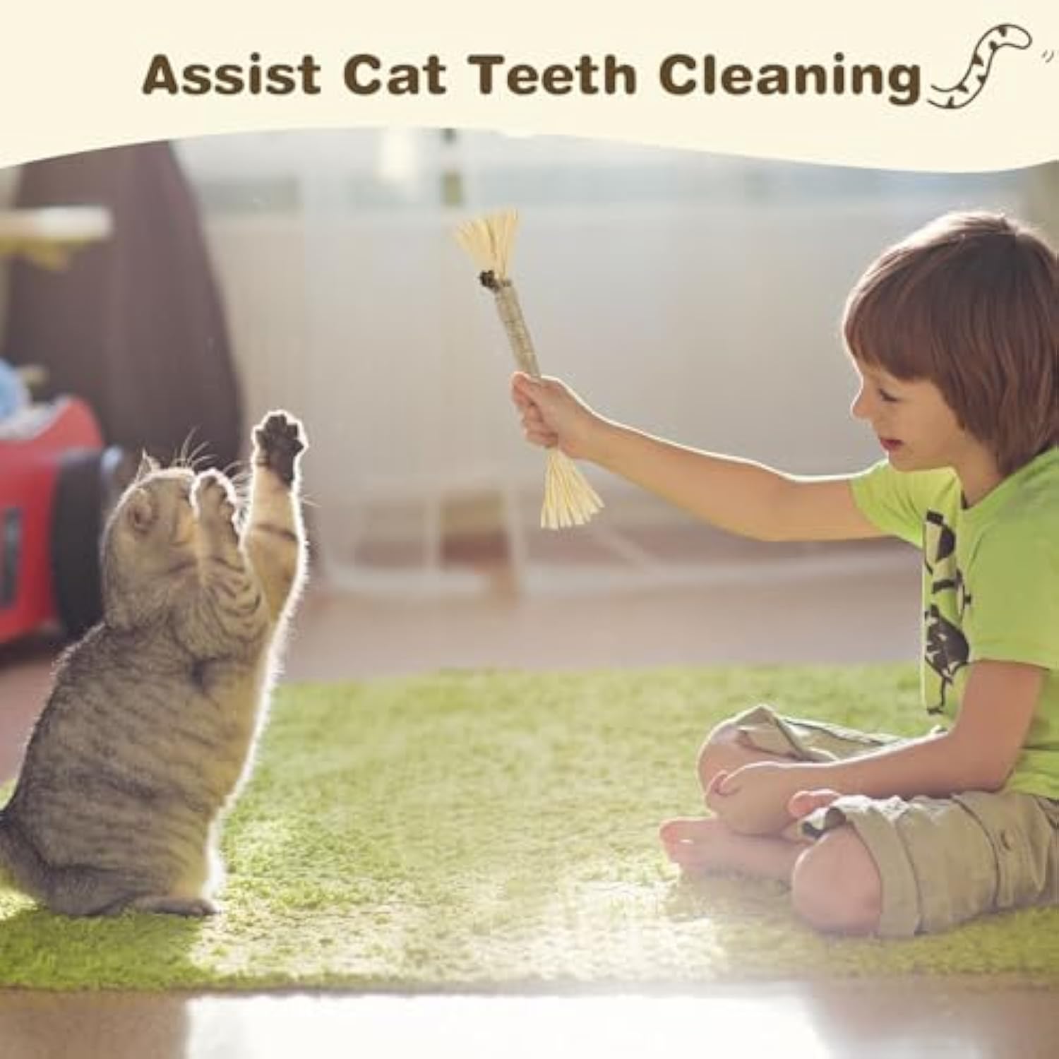 Silvervine Sticks for Cats — 3-Pack Natural Dental Chew