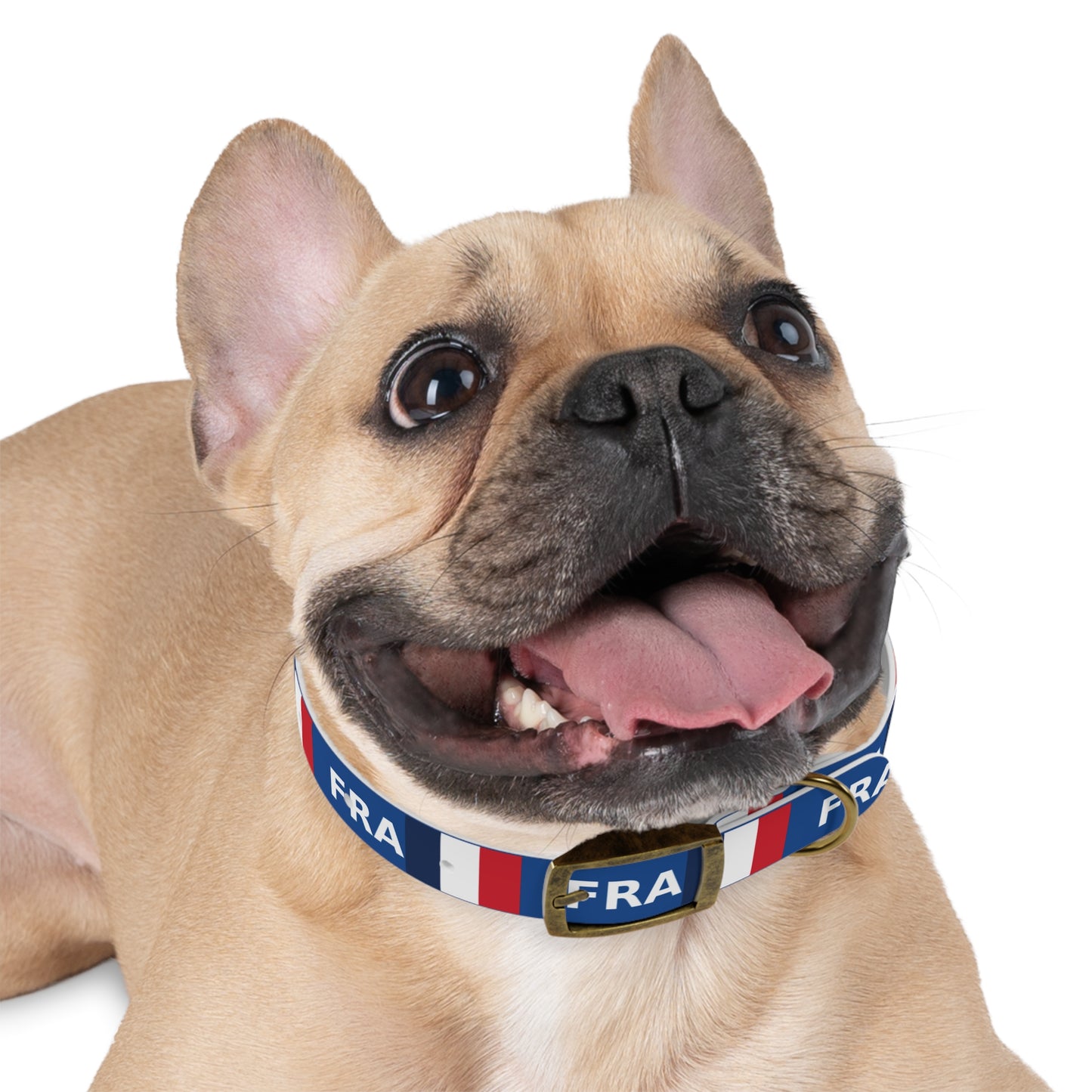 World Cup Dog Collar - France