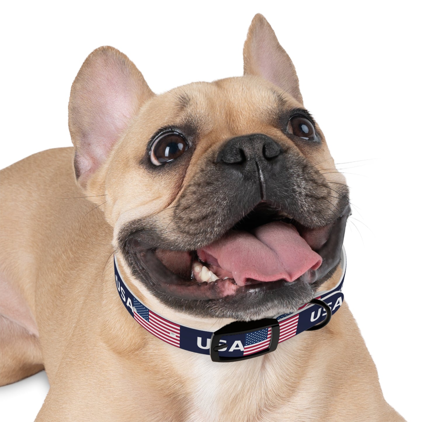 World Cup Dog Collar - USA