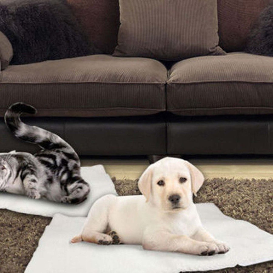Self-Heating Dog and Cat Blanket