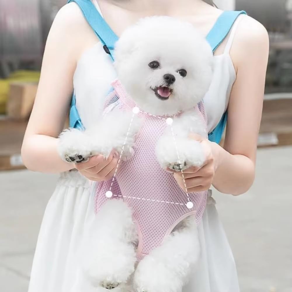 Pet Carrier Backpack with Leg Holes for Dogs & Cats