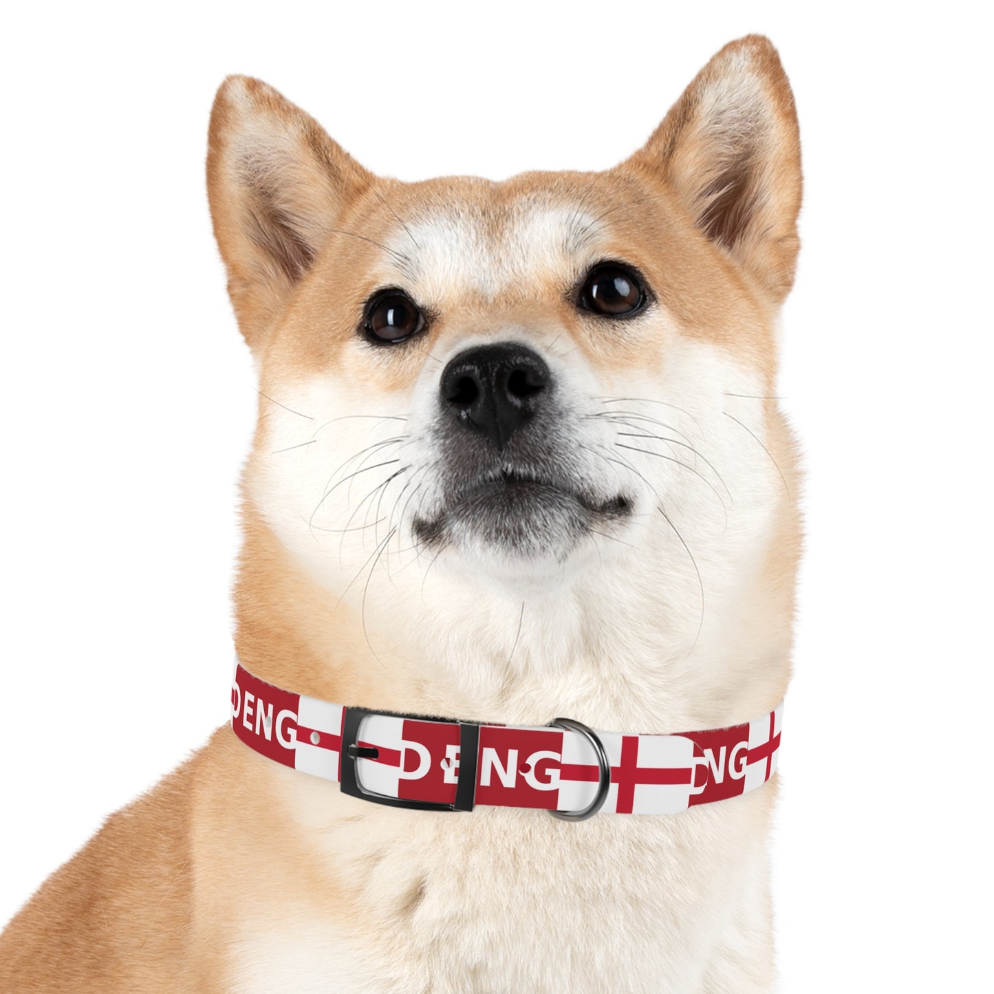 World Cup Dog Collar - England