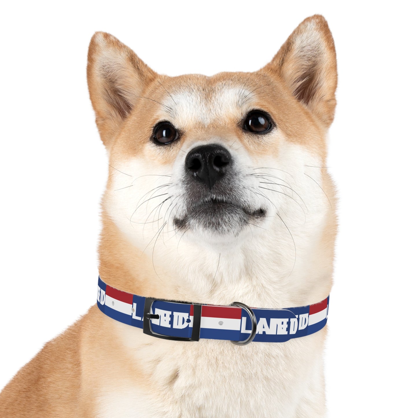World Cup Dog Collar - Netherlands