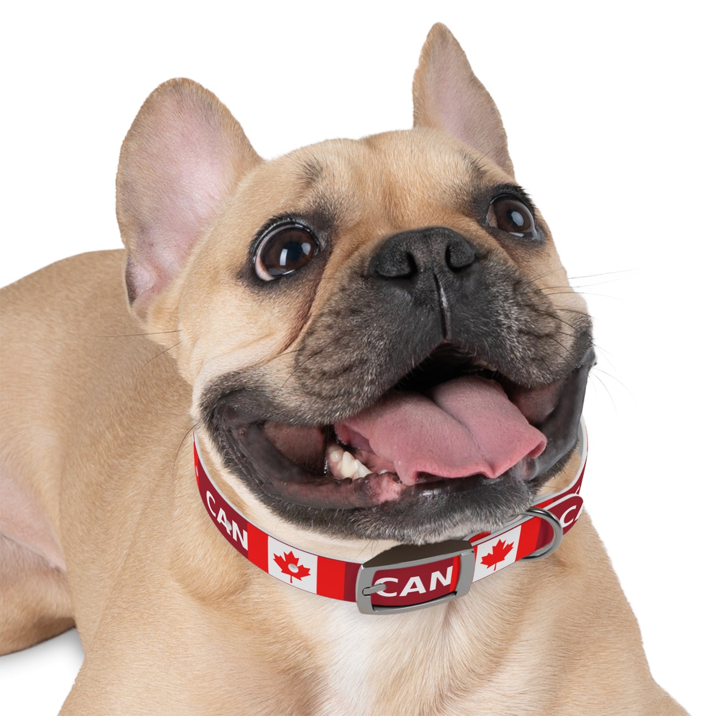 World Cup Dog Collar - Canada
