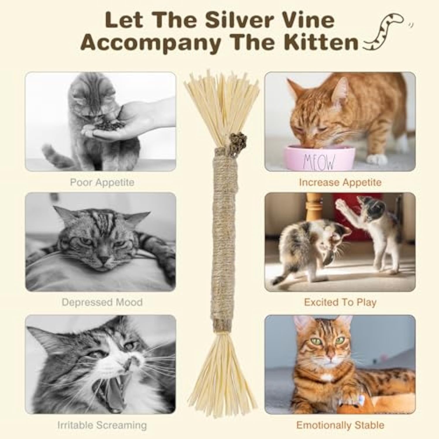 Silvervine Sticks for Cats — 3-Pack Natural Dental Chew