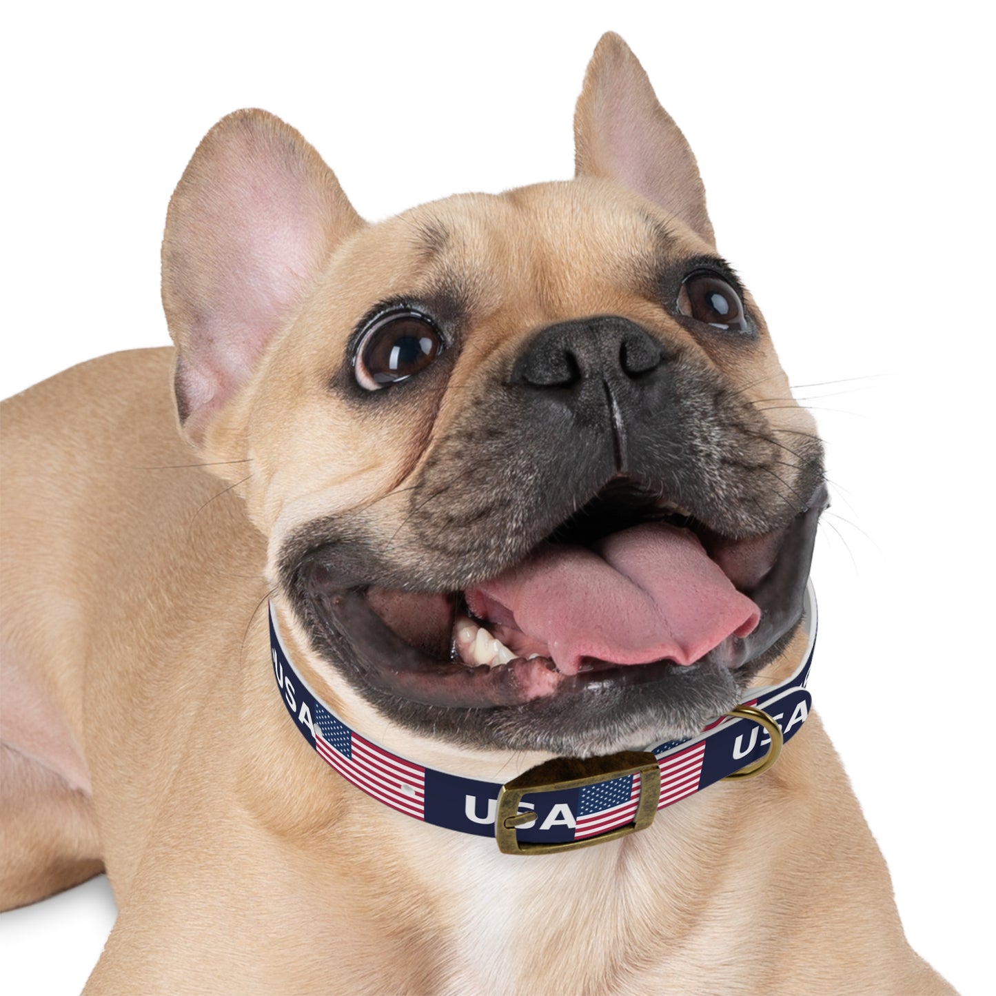 World Cup Dog Collar - USA