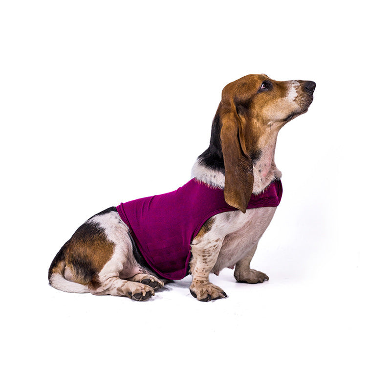 Calming Dog Anxiety Vest — Gentle Pressure Comfort Wrap