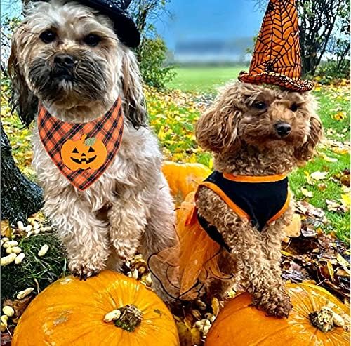 Product view of Halloween Dog Bandana with Pumpkin & Skeleton Appliques