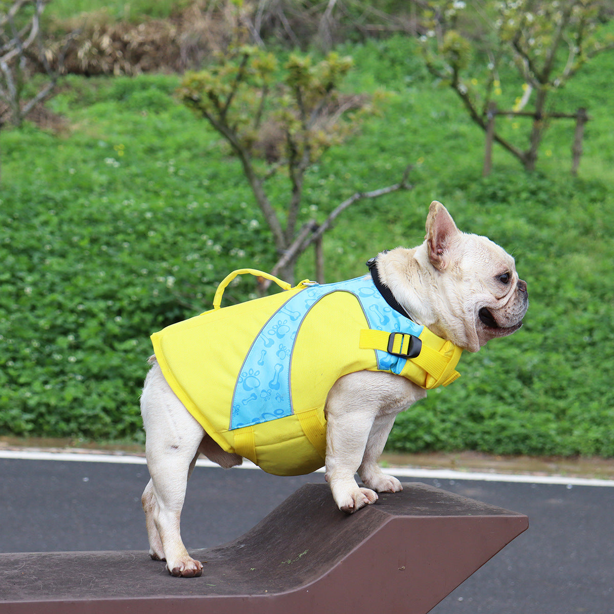 Dog Life Jacket — High-Visibility Swim Vest for Safe Water Play
