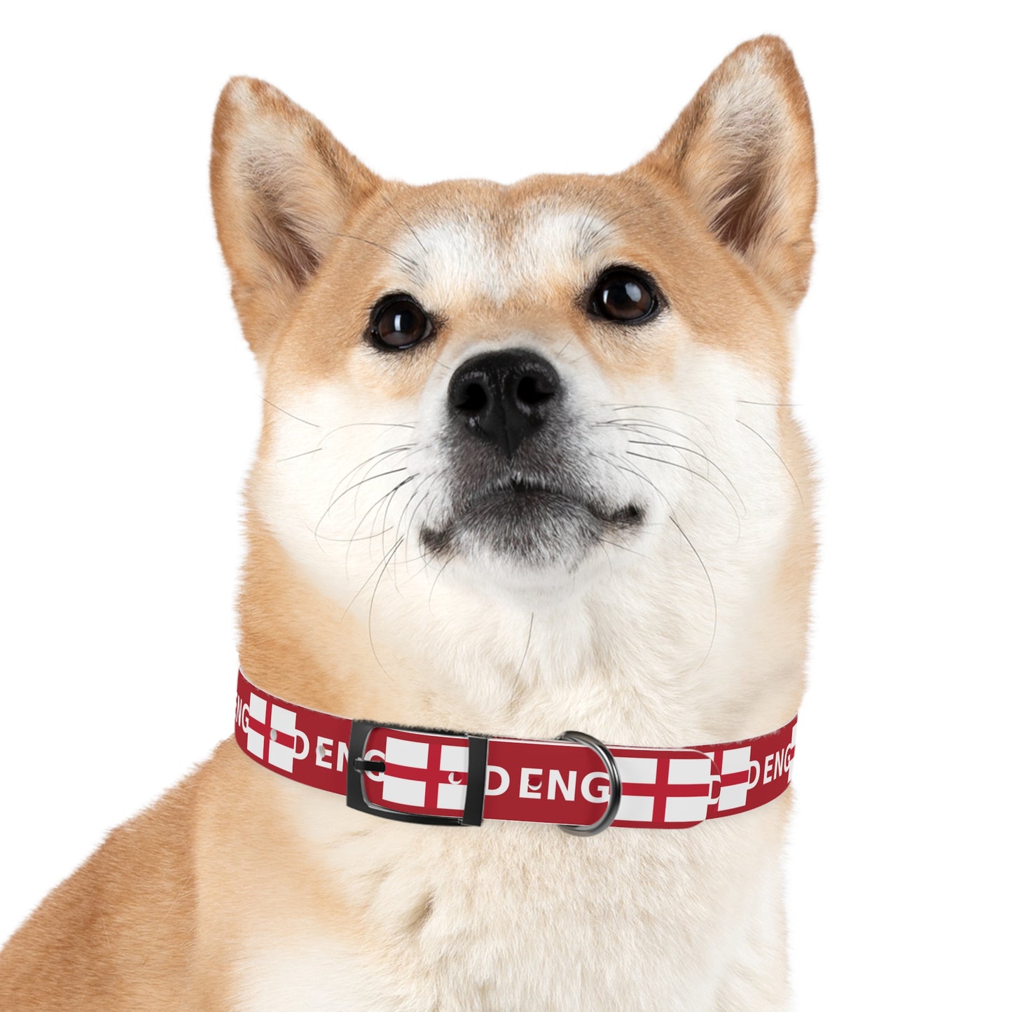 World Cup Dog Collar - England