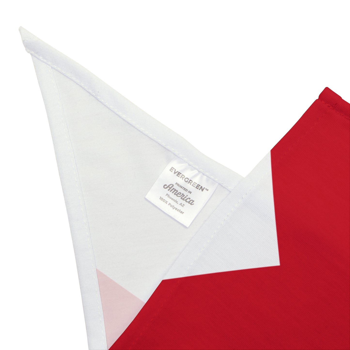 Soccer Fan Pet Bandana — England