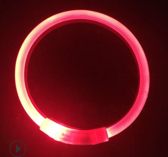 USB Rechargeable LED Dog Collar
