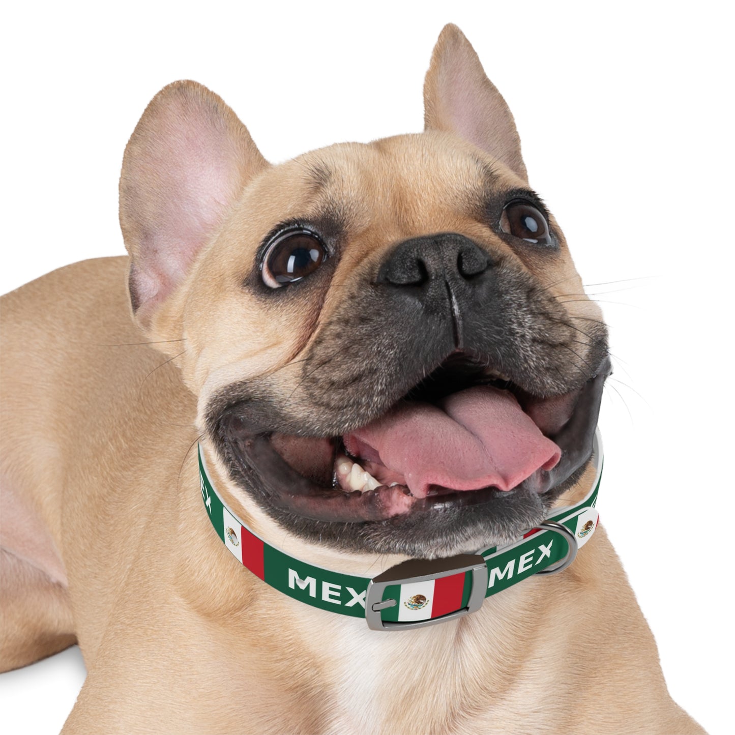World Cup Dog Collar - Mexico