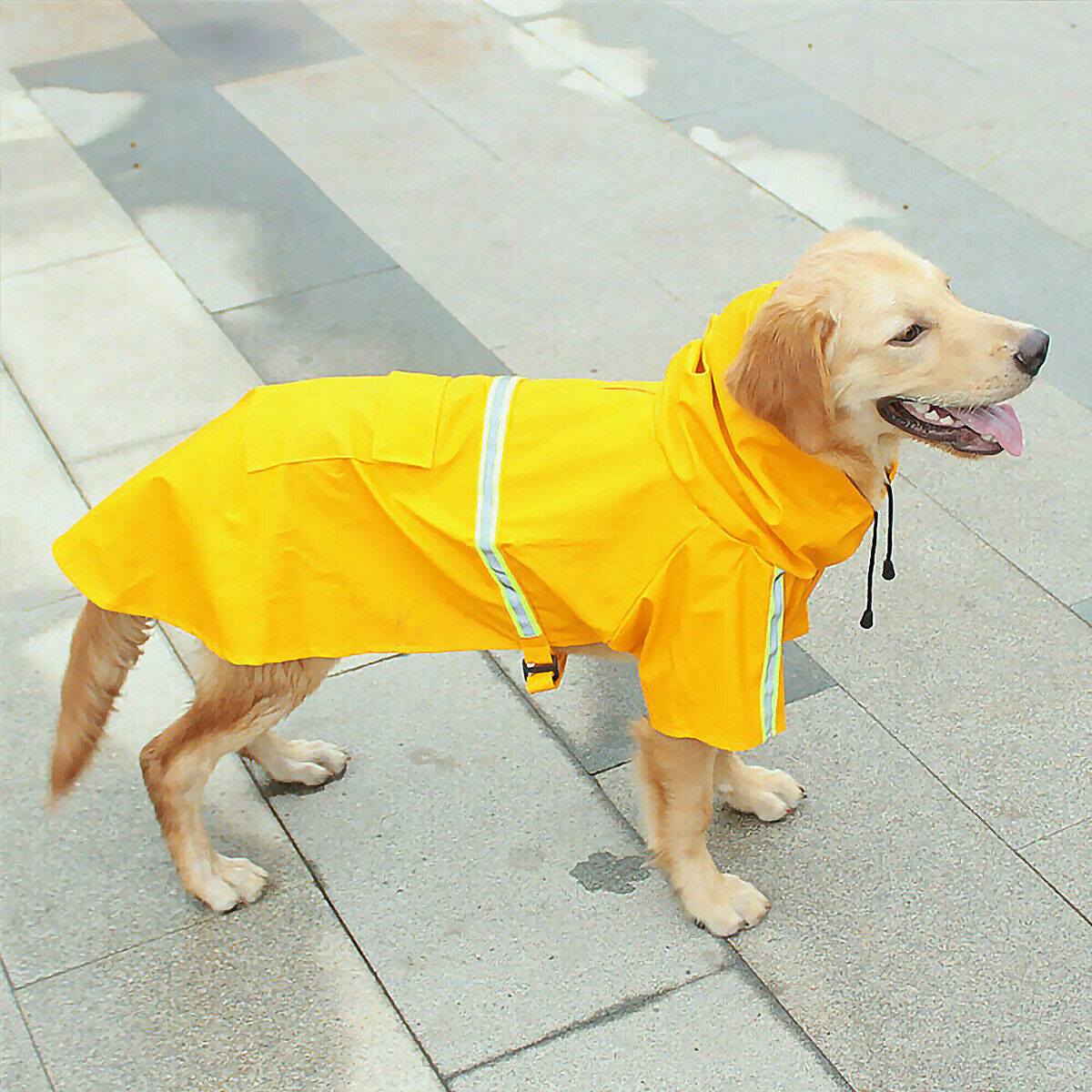 Hooded Dog Raincoat with Reflective Stripe & Leash Hole