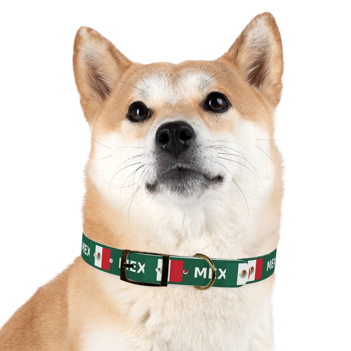 World Cup Dog Collar - Mexico