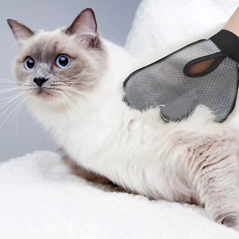 Pet Grooming Glove for Shedding — Cat & Dog Hair Remover