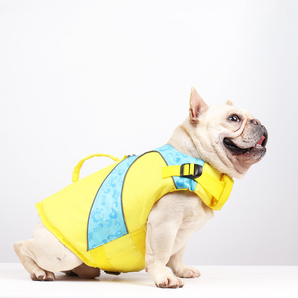 Dog Life Jacket — High-Visibility Swim Vest for Safe Water Play