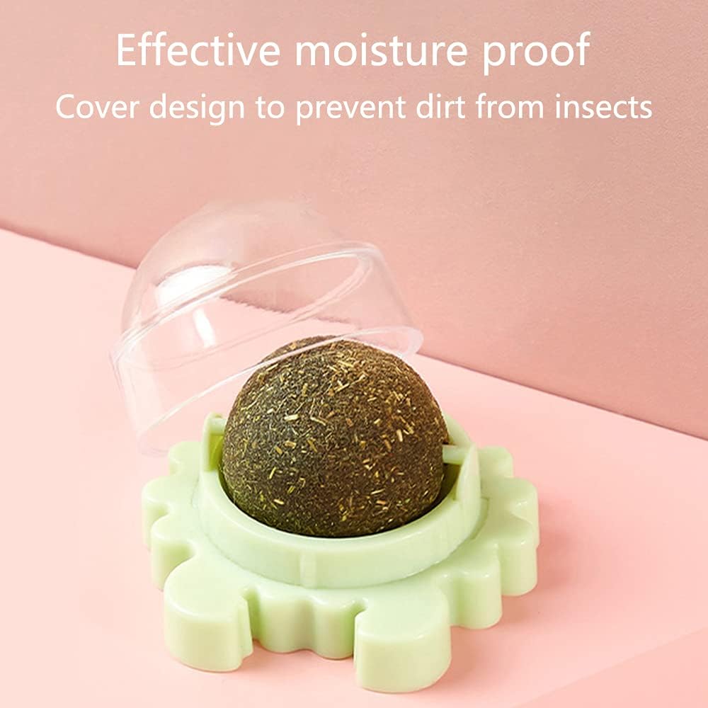 Catnip Wall Balls for Cats — Edible Licking & Teeth-Cleaning Toy