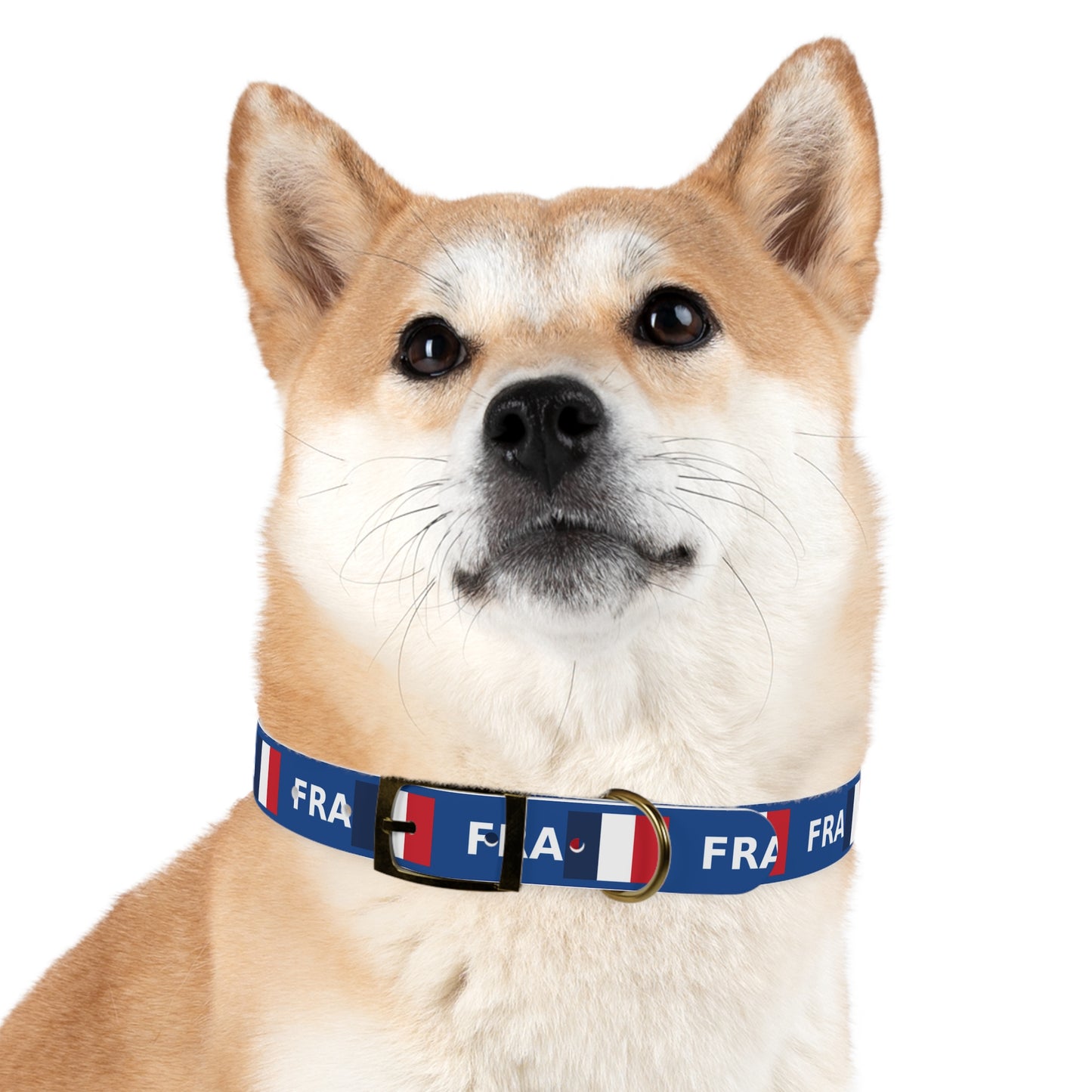 World Cup Dog Collar - France