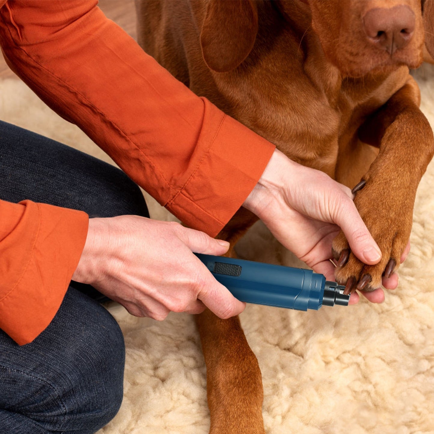 Quiet Dog Nail Grinder — Cordless USB Rechargeable Paw Care