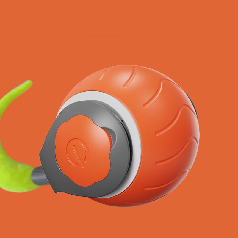 Speedy Tail Interactive Cat Ball Toy for Indoor Cats