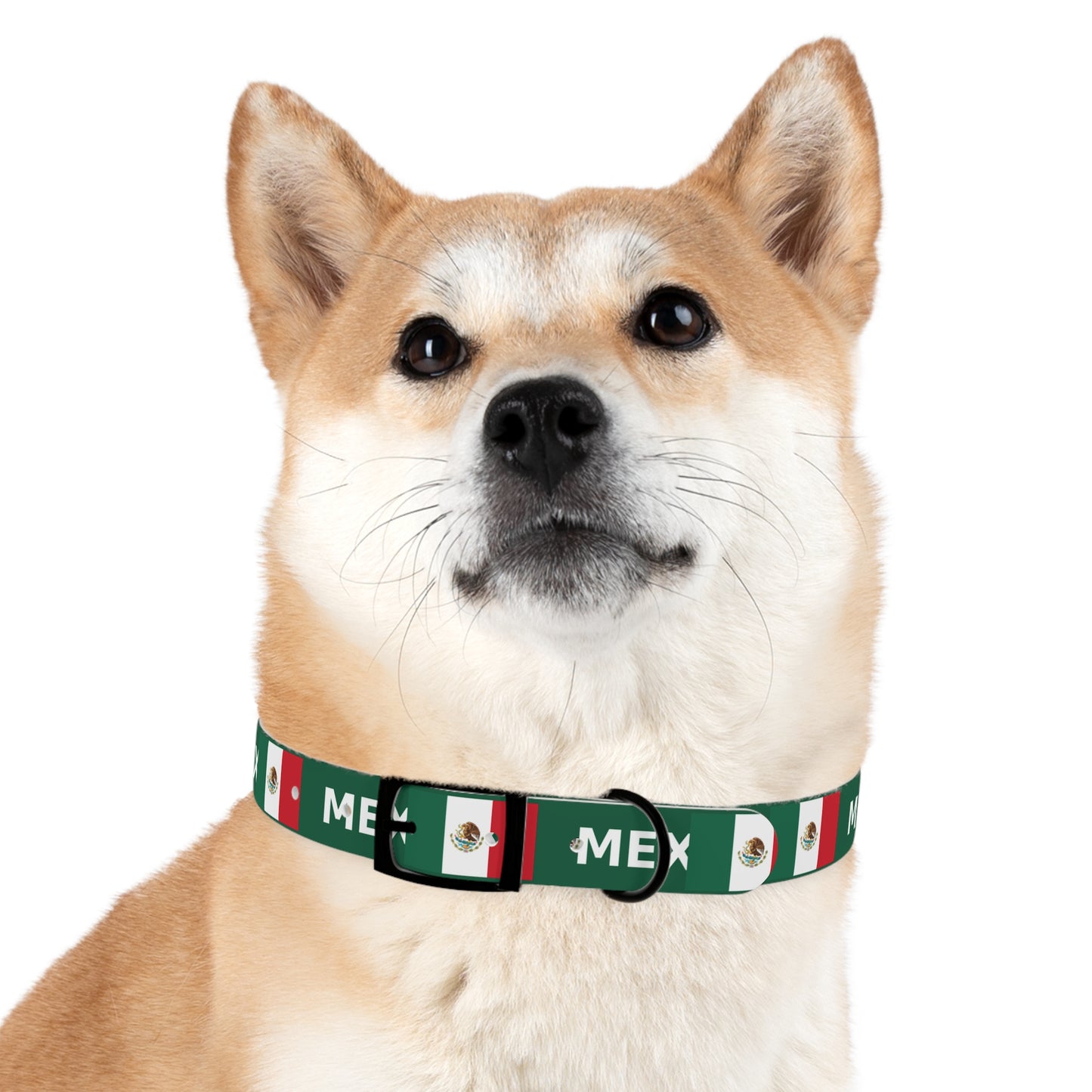 World Cup Dog Collar - Mexico