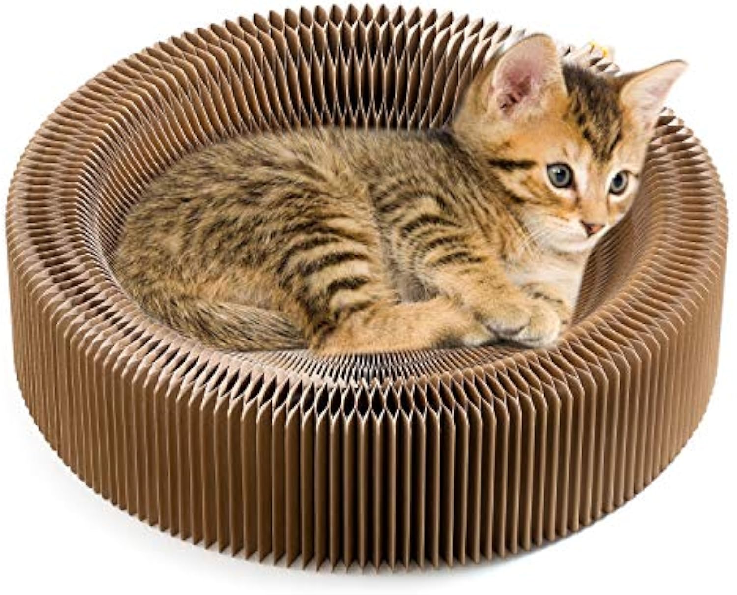 Collapsible Cardboard Cat Scratcher Lounge Bed for Indoor Cats