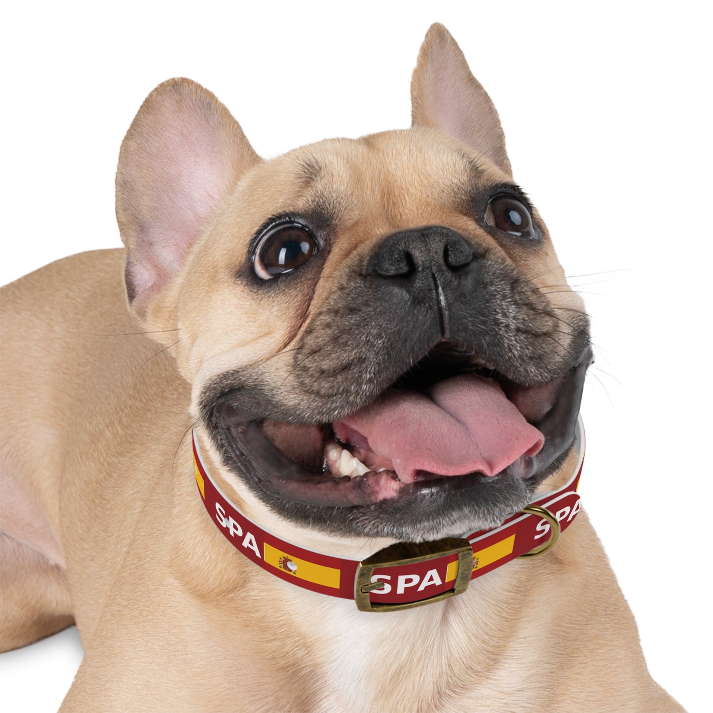 World Cup Dog Collar - Spain