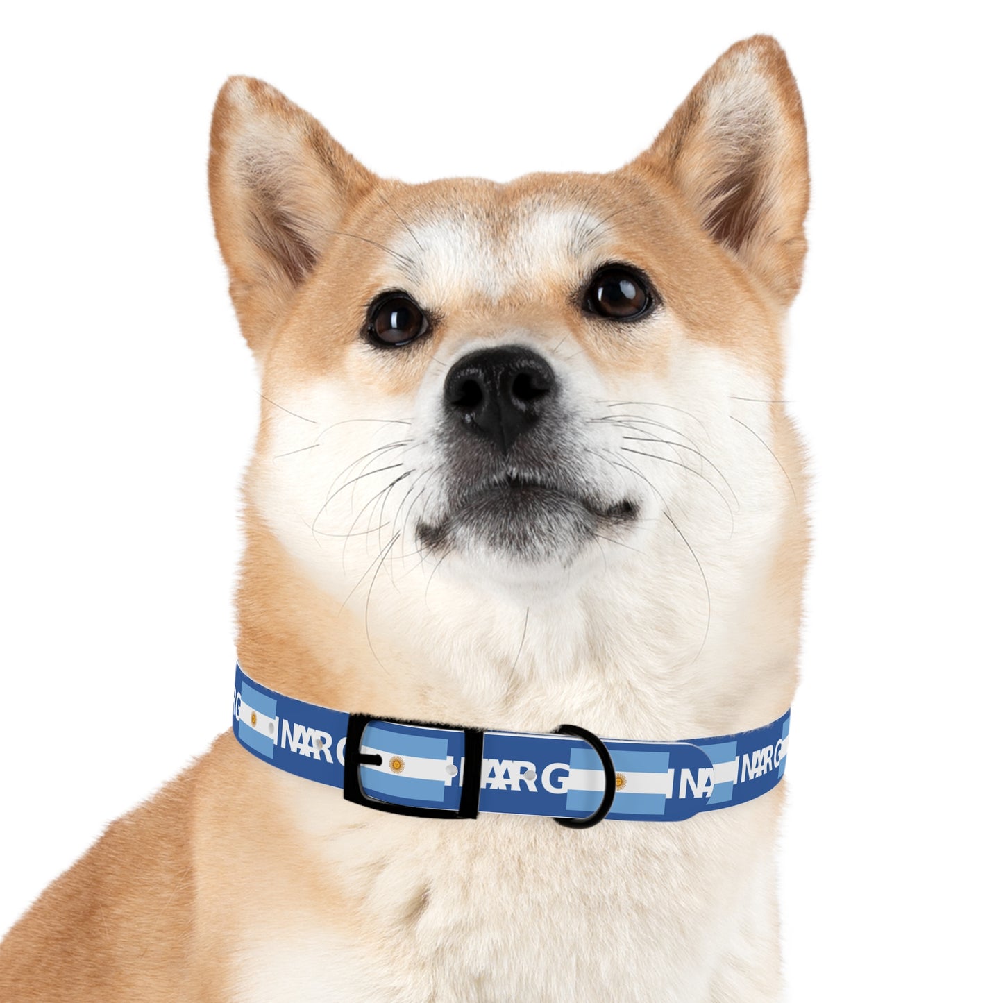 World Cup Dog Collar - Argentina