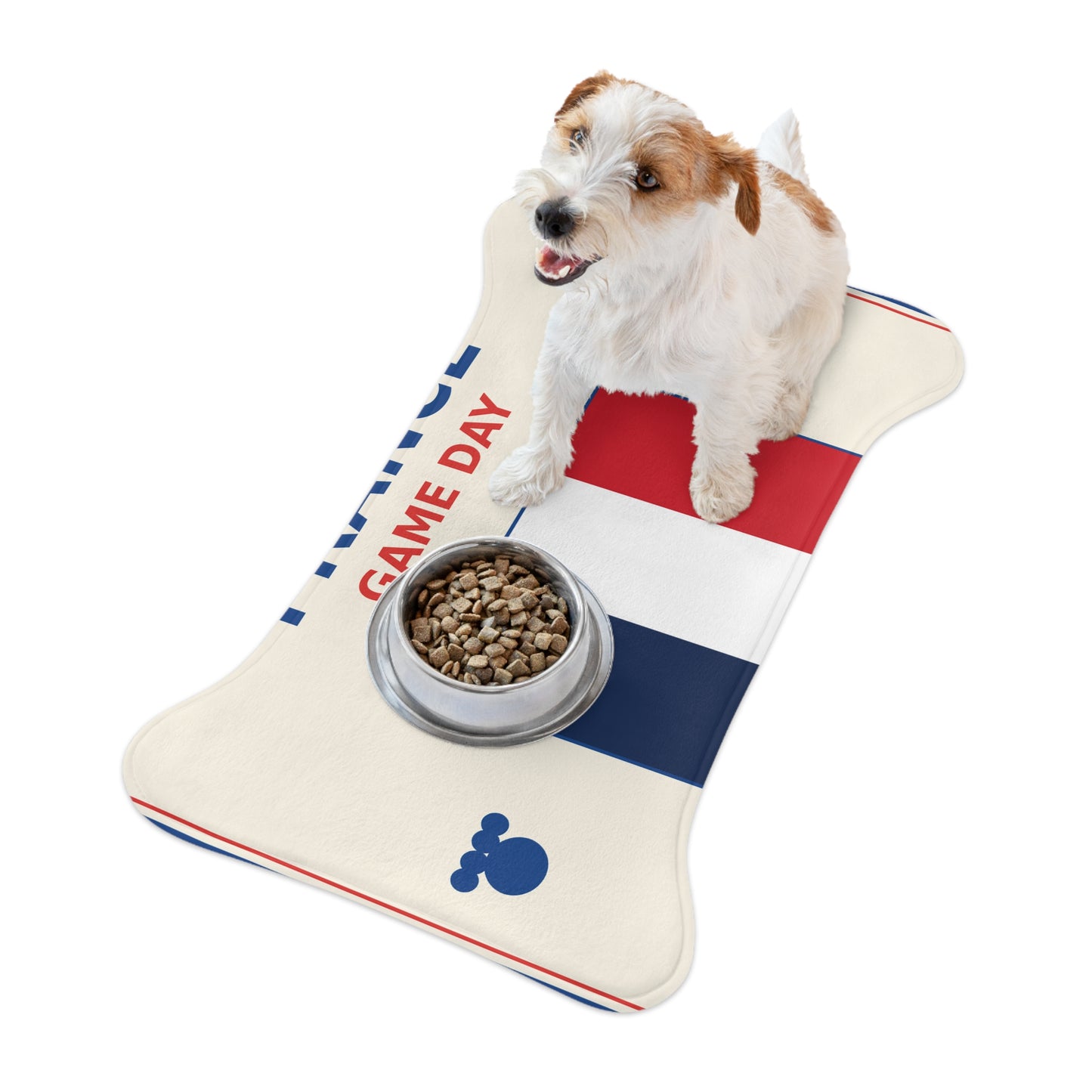 World Cup Pet Feeding Mat - France