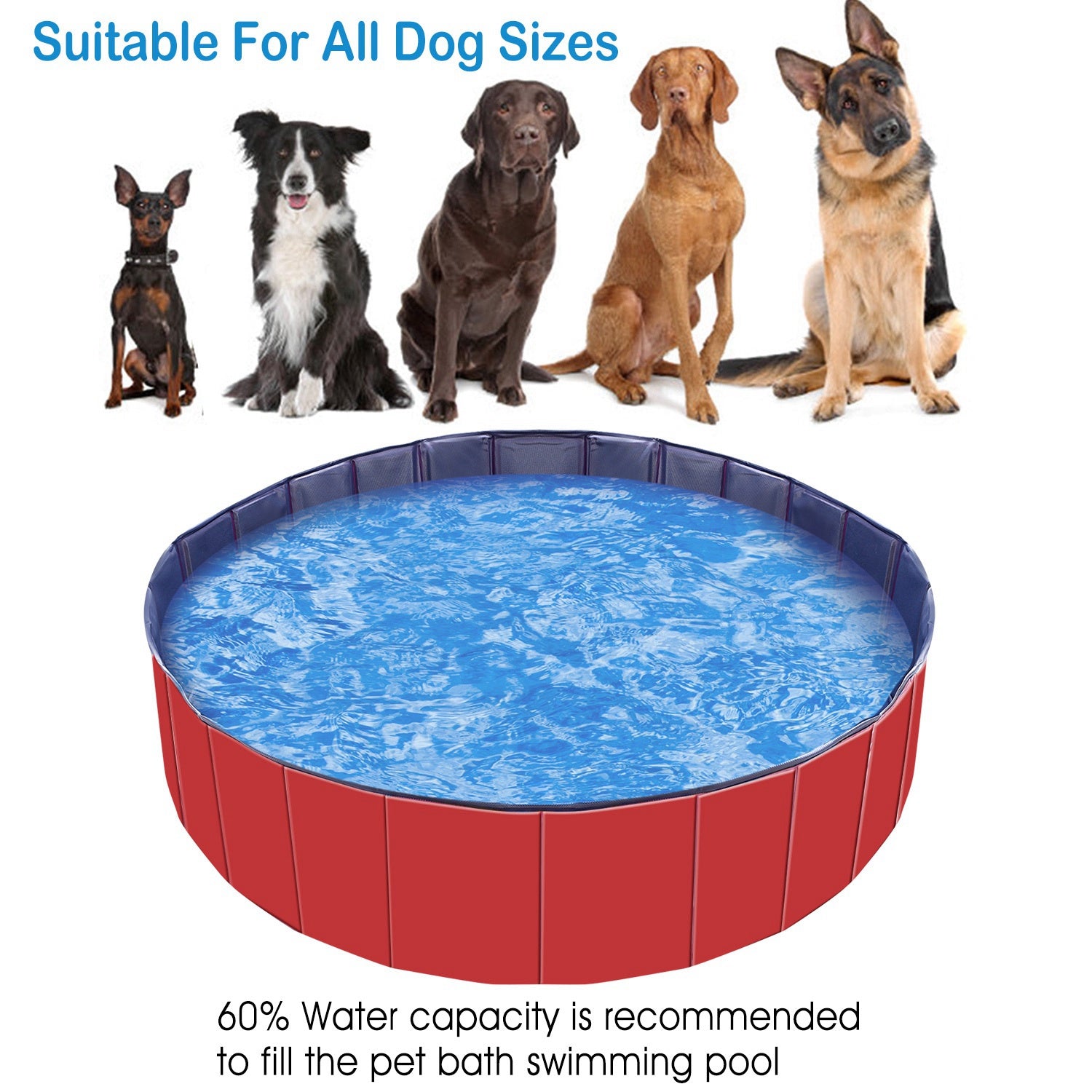Foldable Dog Swimming Pool — Cooling Bath & Splash Tub for Pets