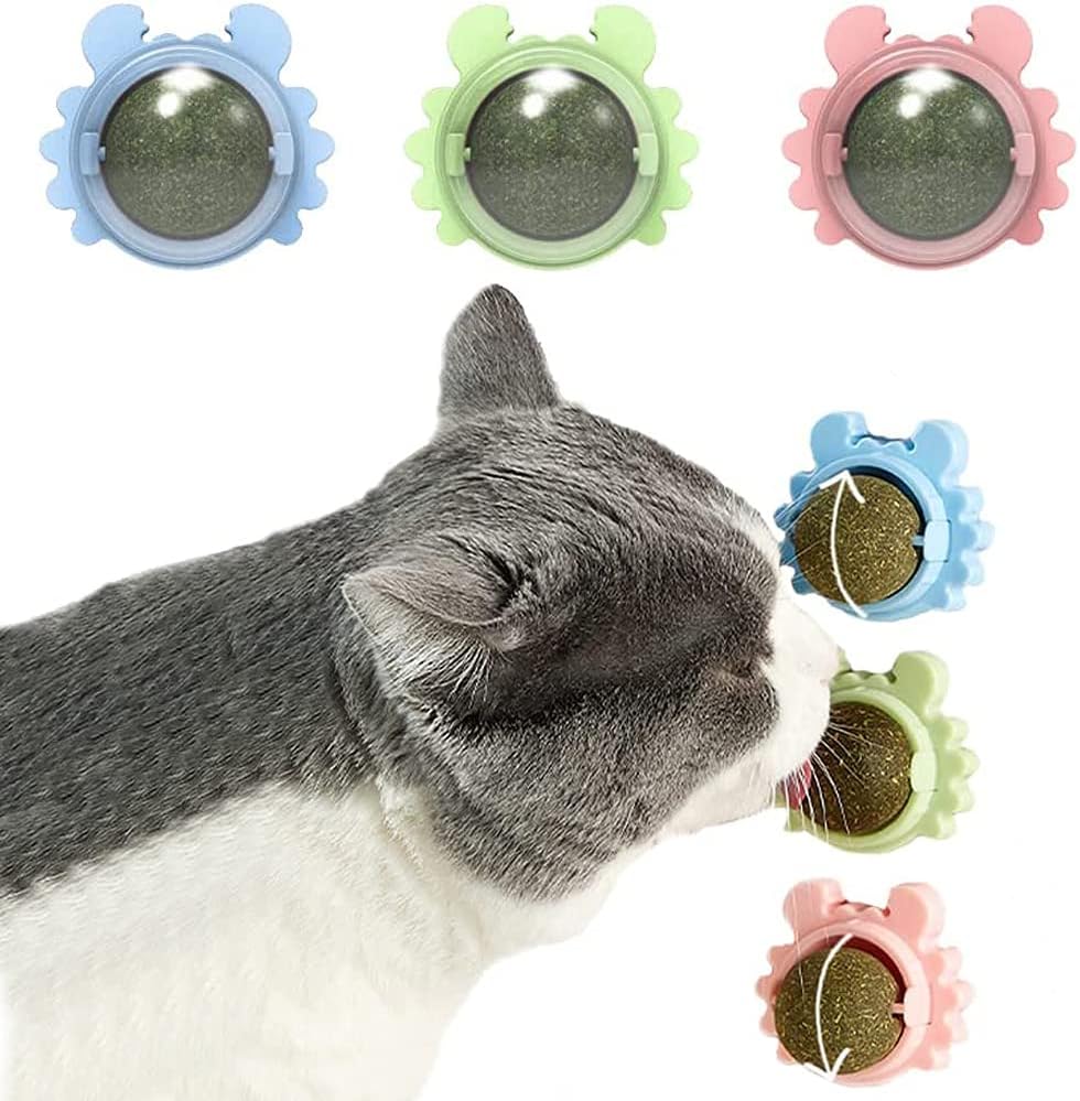 Catnip Wall Balls for Cats — Edible Licking & Teeth-Cleaning Toy