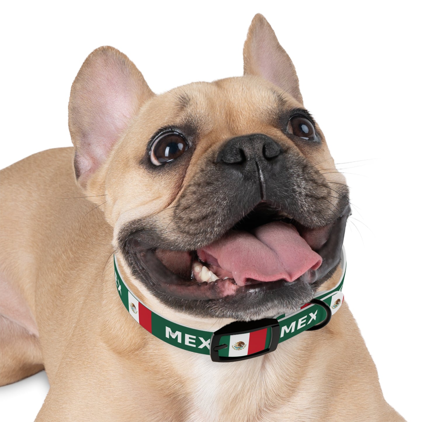 World Cup Dog Collar - Mexico