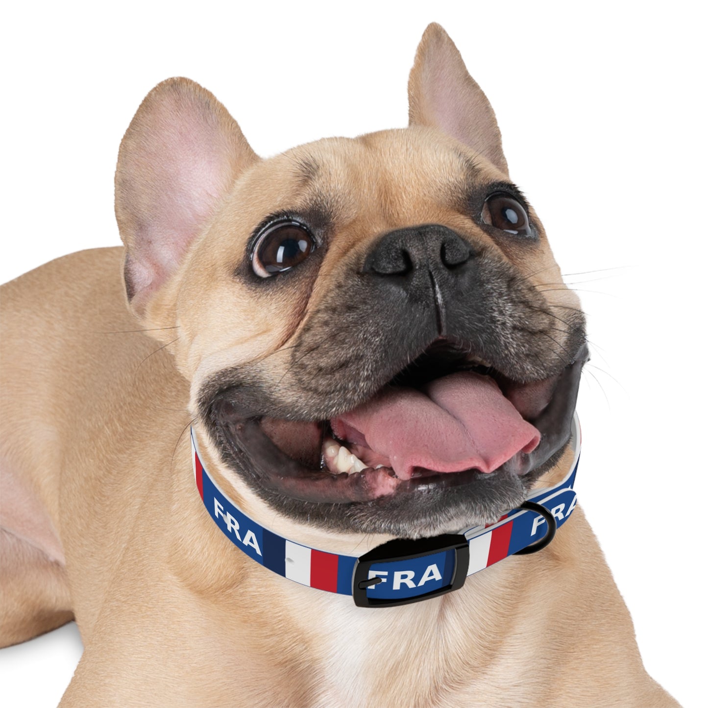 World Cup Dog Collar - France