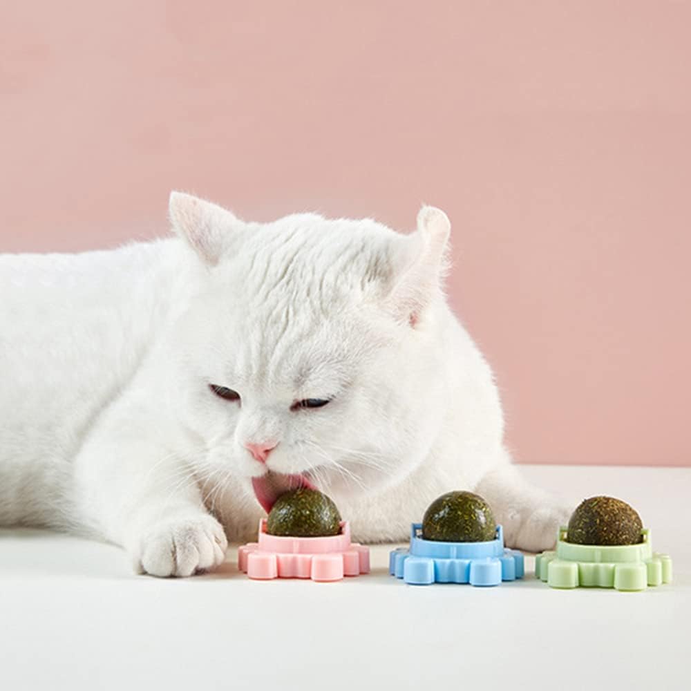 Catnip Wall Balls for Cats — Edible Licking & Teeth-Cleaning Toy