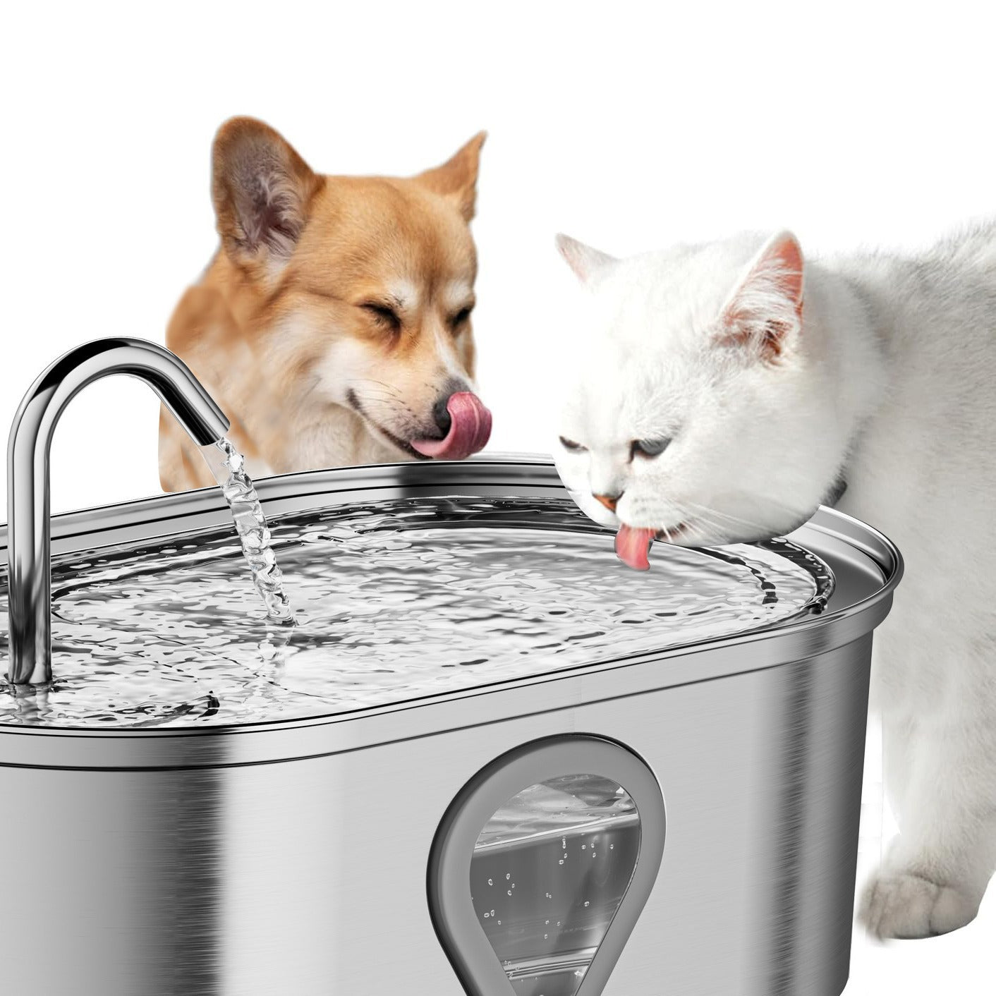 Stainless Steel Cat Water Fountain — 3.5L Smart Pet Drinking Bowl