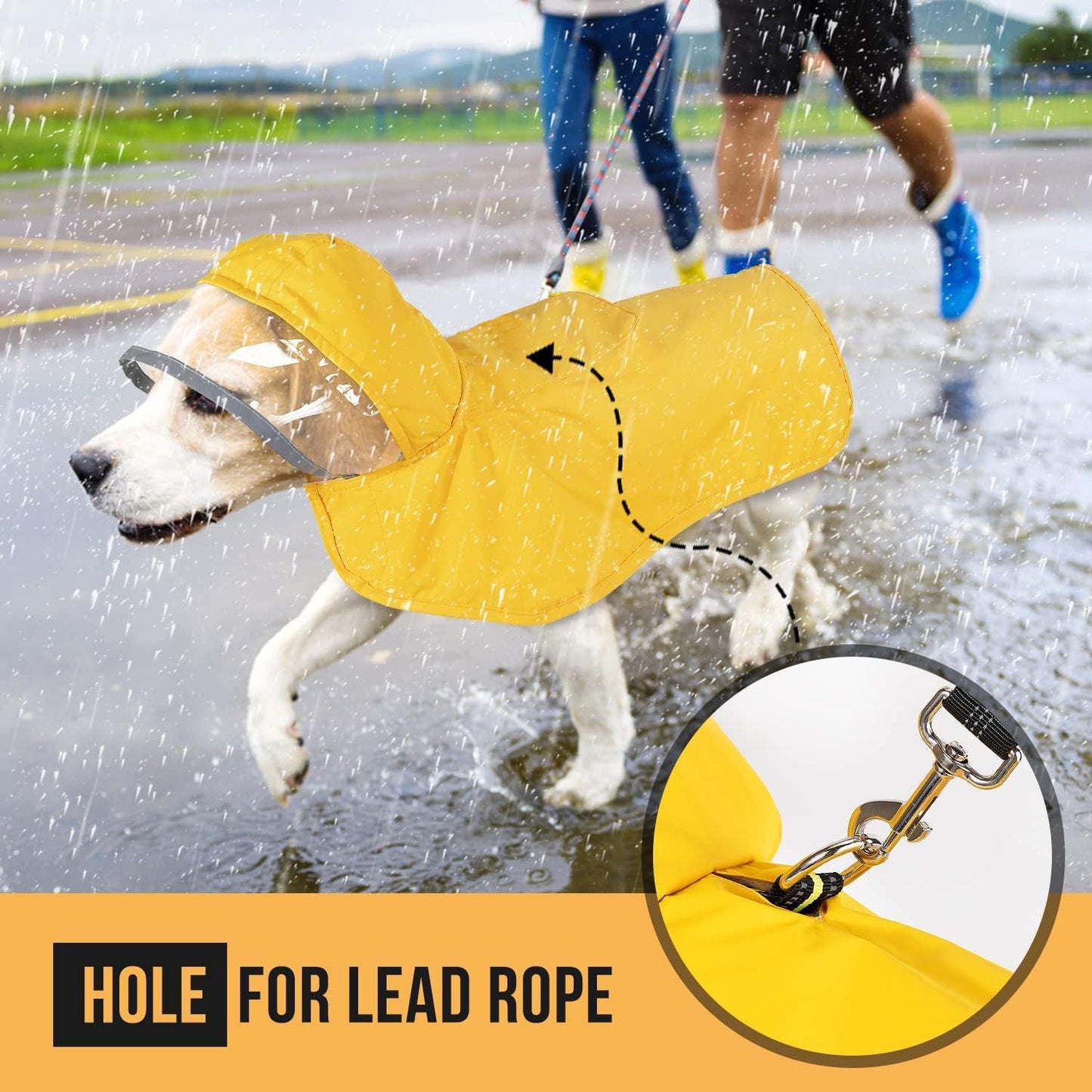 Hooded Dog Raincoat with Clear Visor Cap for Small Dogs