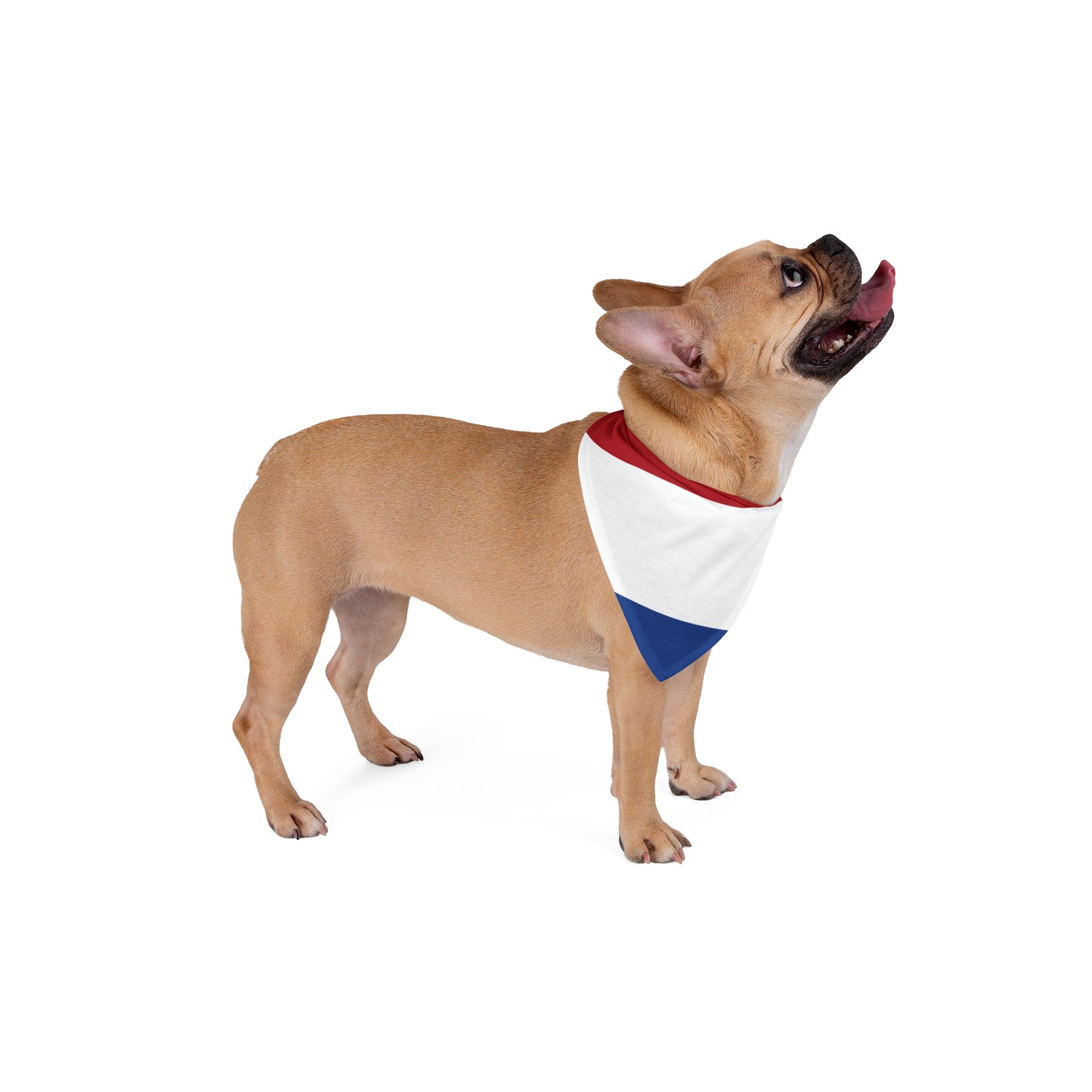 Soccer Fan Pet Bandana — Netherlands
