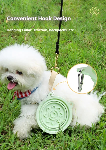 Collapsible Dog Travel Bowl with Suction Cups & Slow-Feeder
