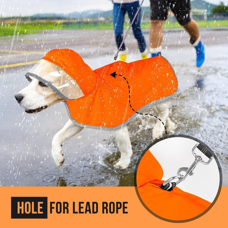 Hooded Dog Raincoat with Clear Visor Cap for Small Dogs
