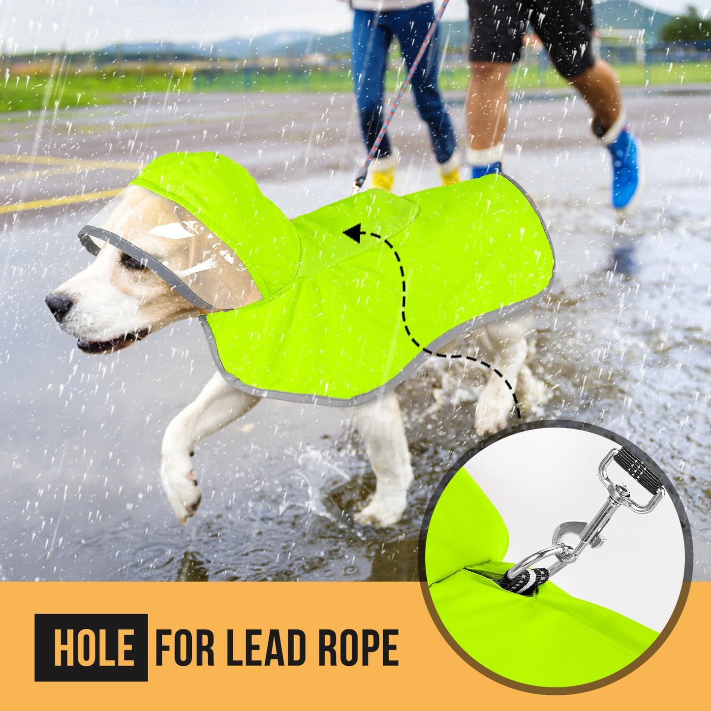 Hooded Dog Raincoat with Clear Visor Cap for Small Dogs